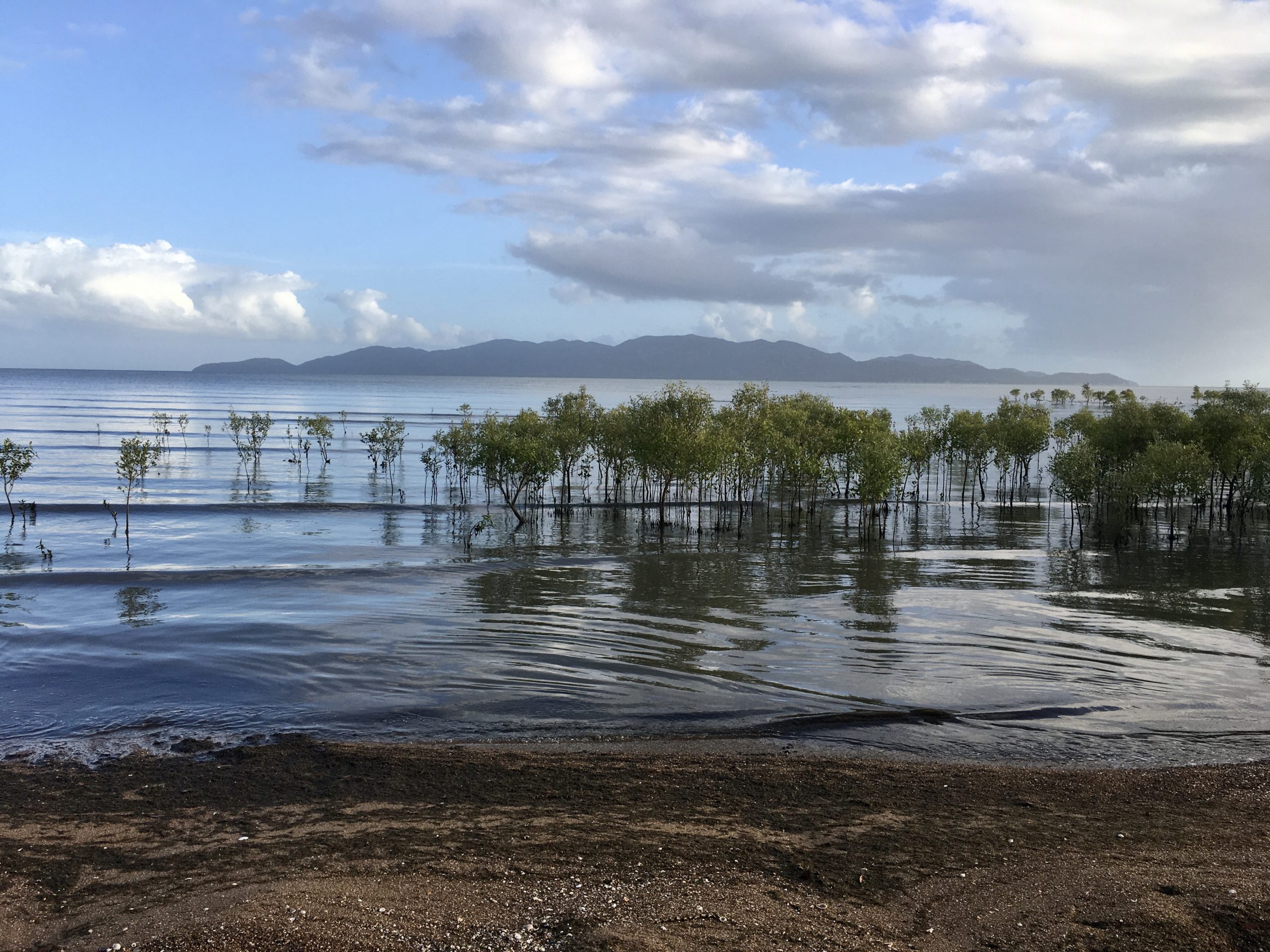 Donnerstag, 19. Dezember Magnetic Island oder Koalamania